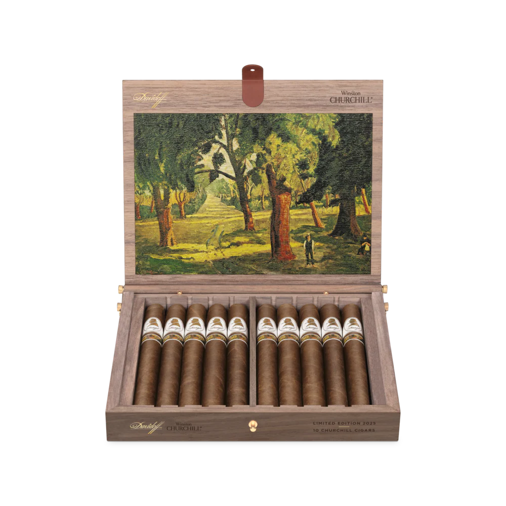 Davidoff Winston Churchill Limited Edition 2025 Cigar - Image 4