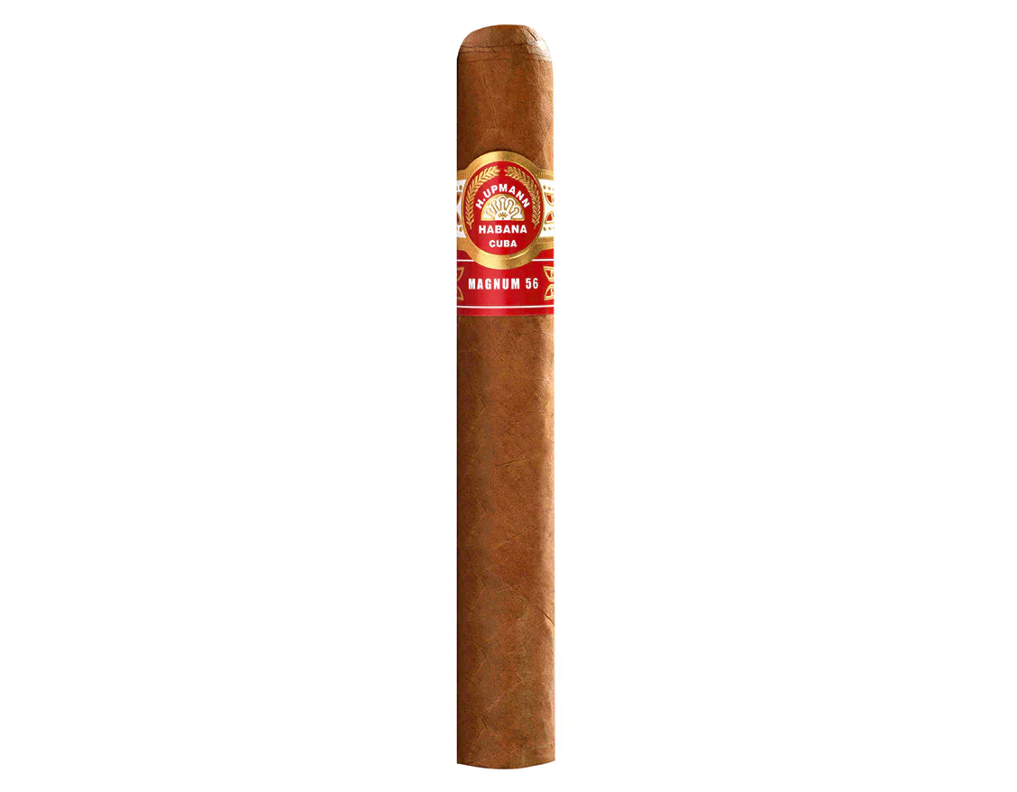 H. Upmann Magnum 56 Cigar Jar - Image 2