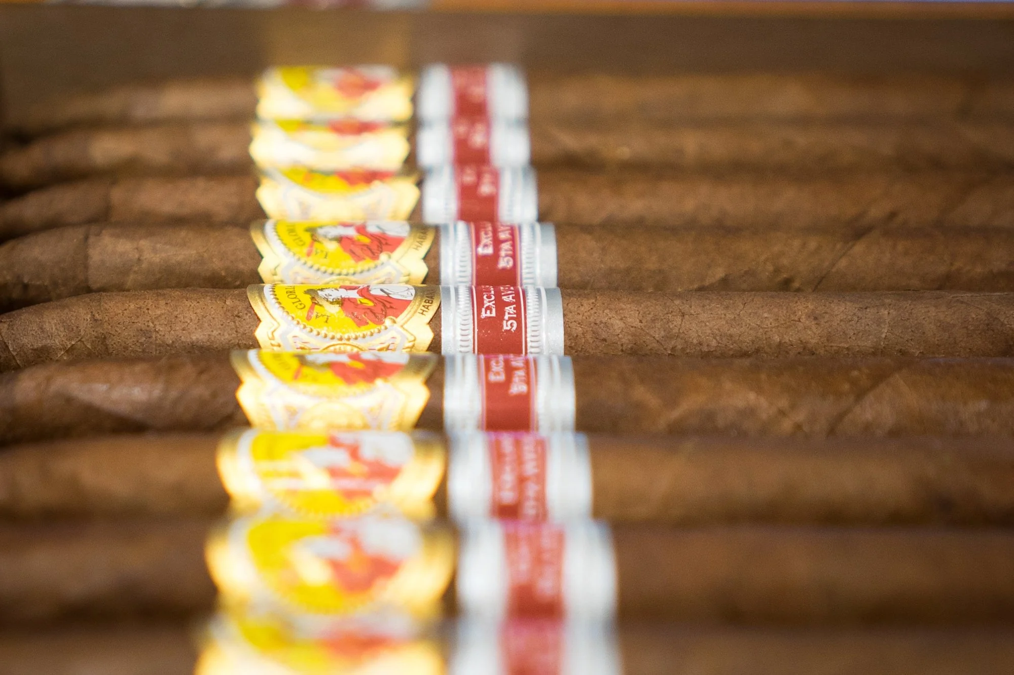 La Gloria Cubana Glorias Cigar (Ex. 5ta Avenida 2015) - Image 3