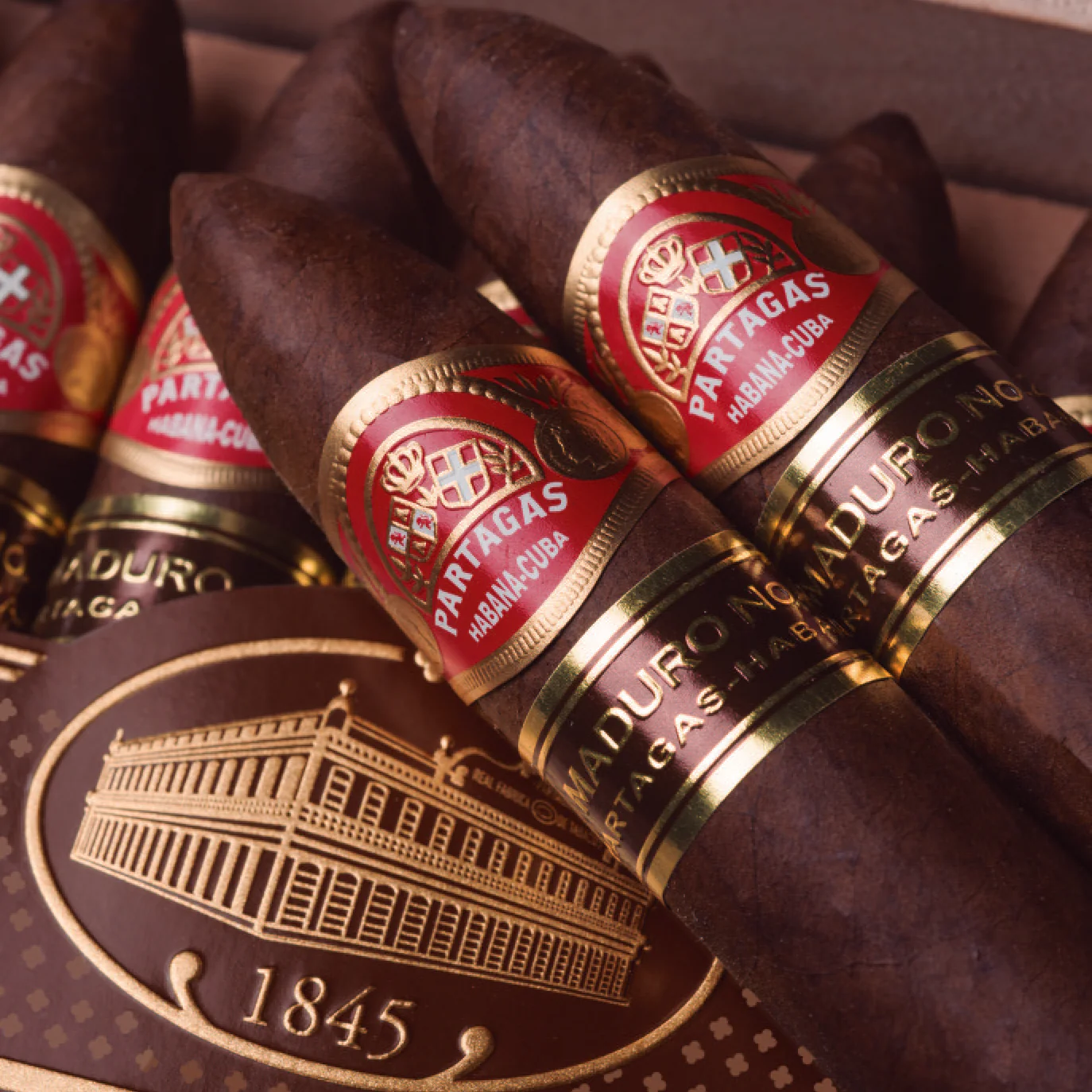 Partagas Maduro No. 2 Cigar - Image 3
