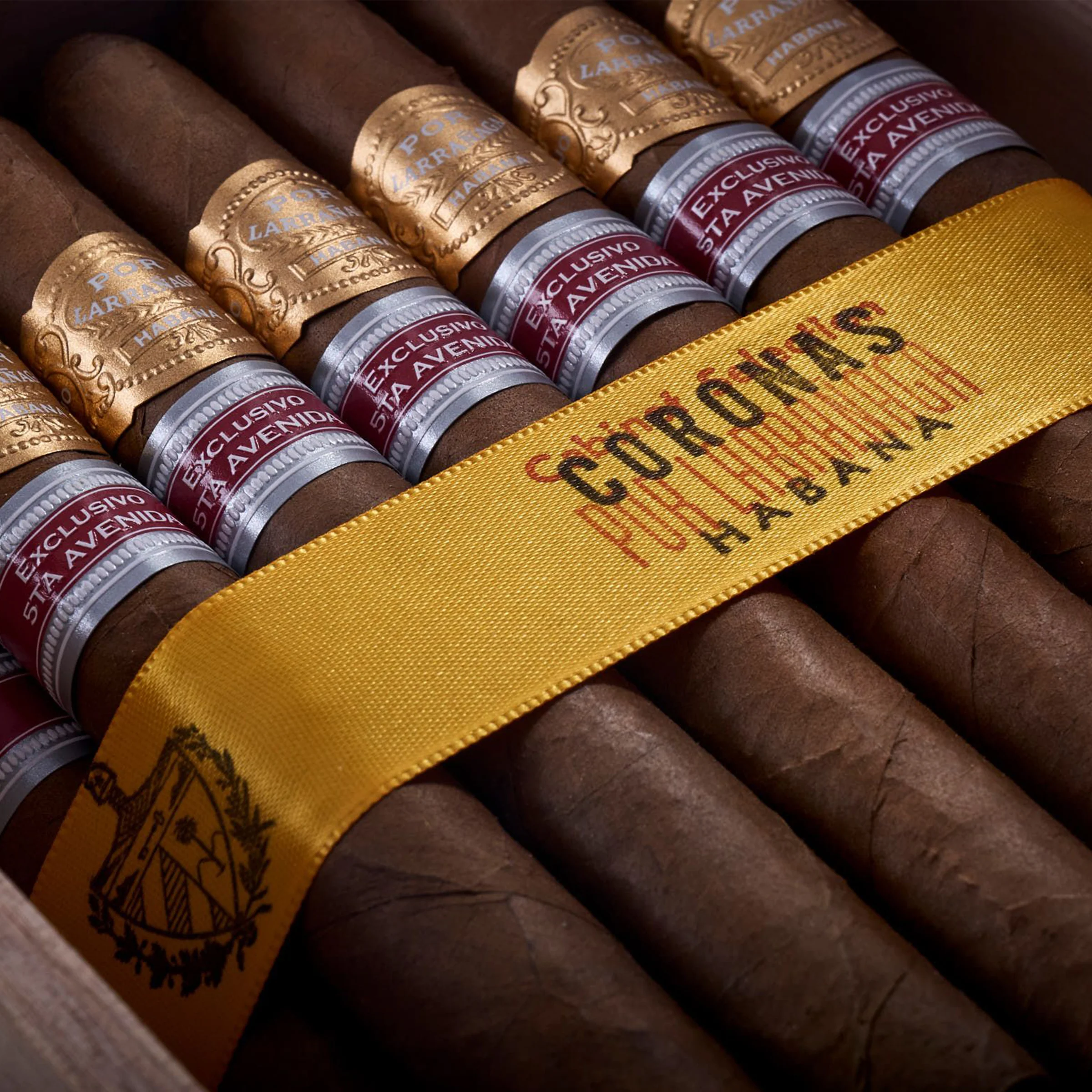 Por Larrañaga Coronas (Ex. 5ta Avenida 2017) - Image 3