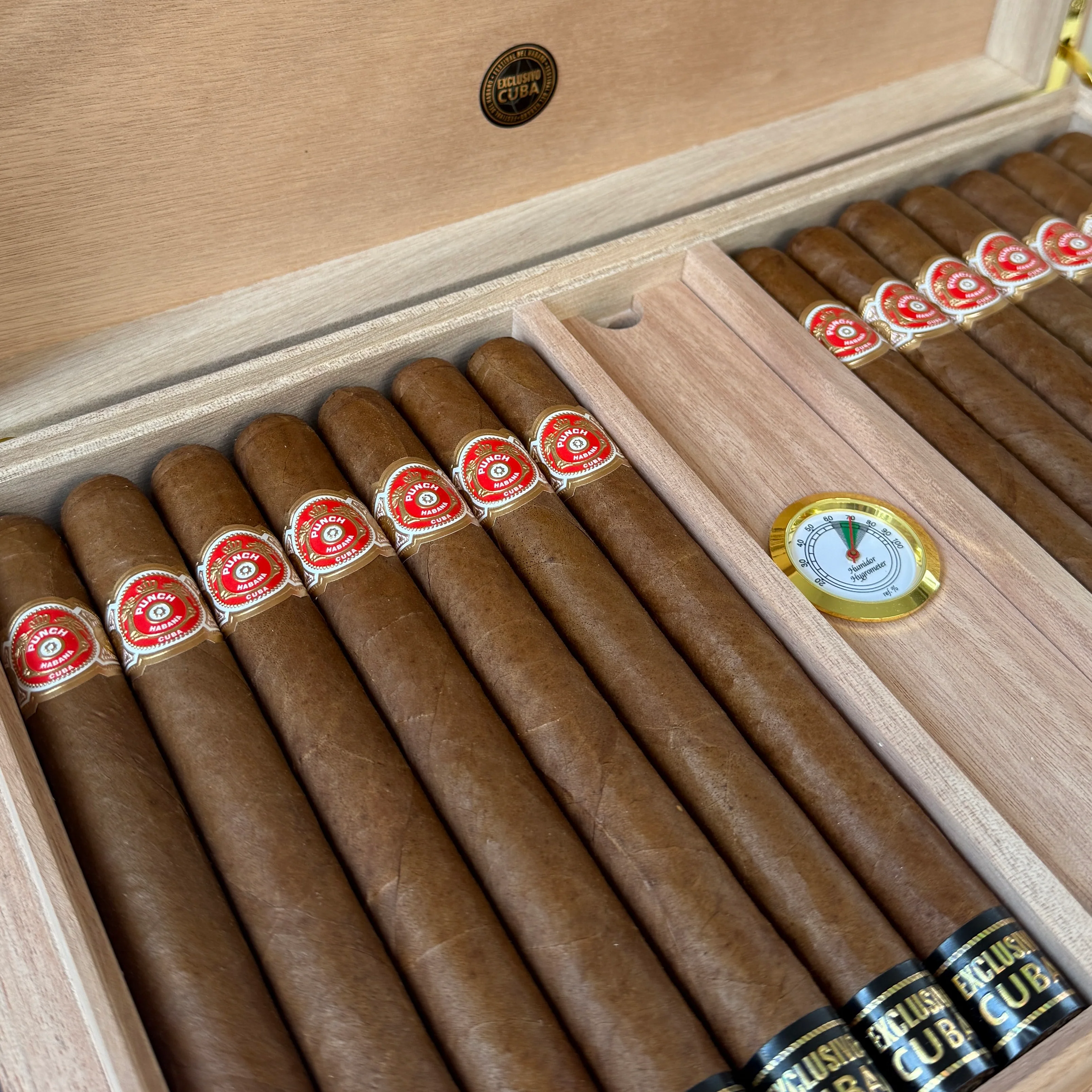 Punch Double Coronas 185th Aniversario Cigar Humidor - Image 4