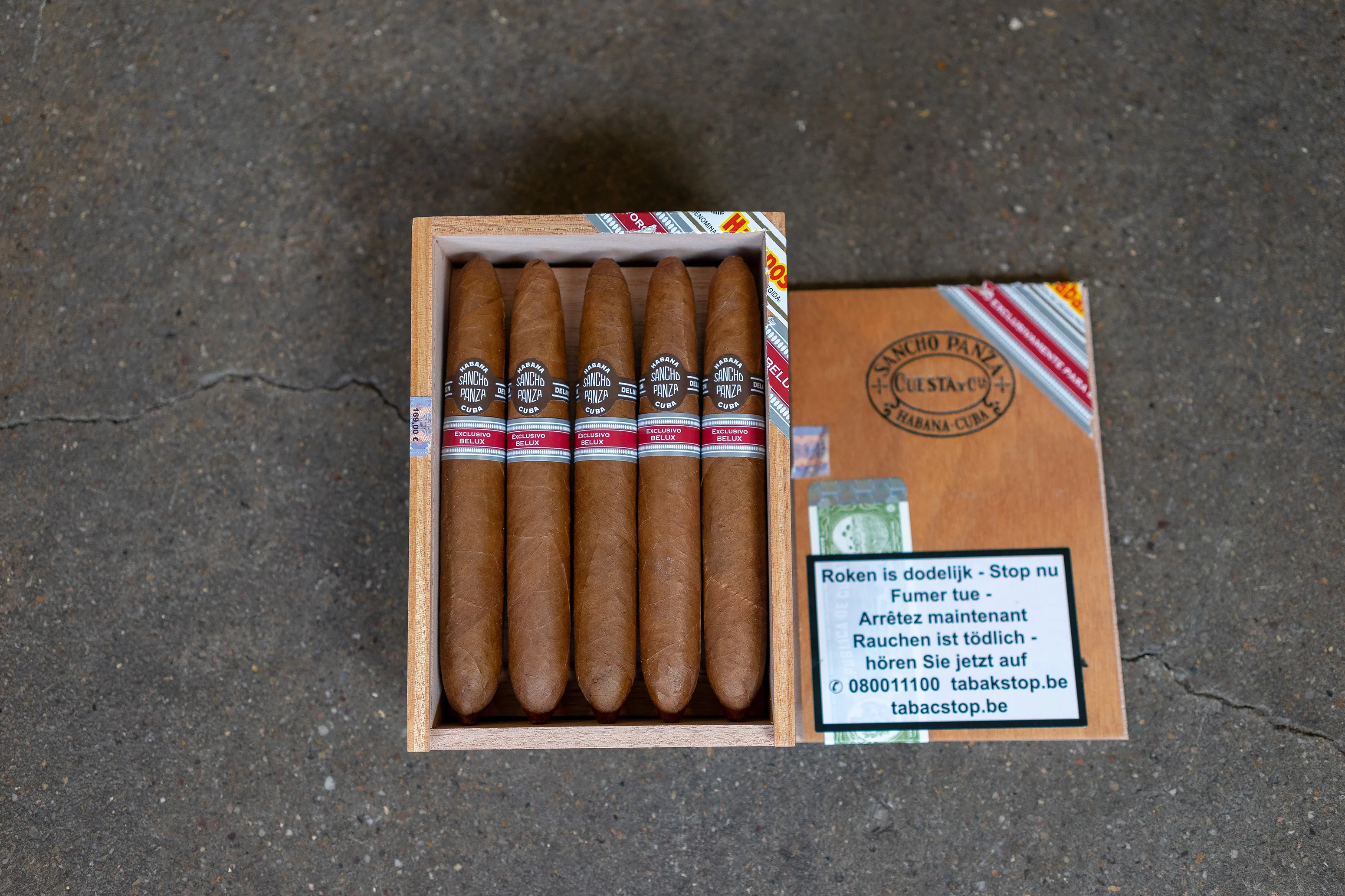Sancho Panza Gran Quixote Cigar (Ex. Belux 2018) - Image 3