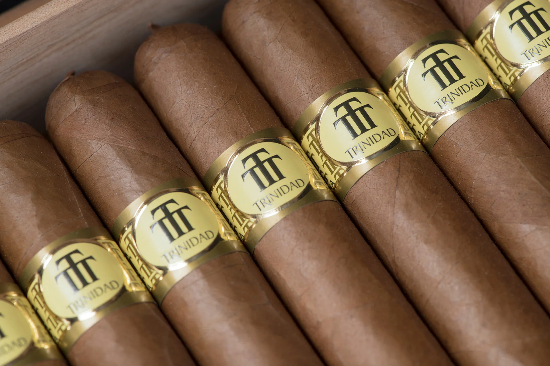 Trinidad Casilda - Colección Habanos Edición 2019 Book - Image 4